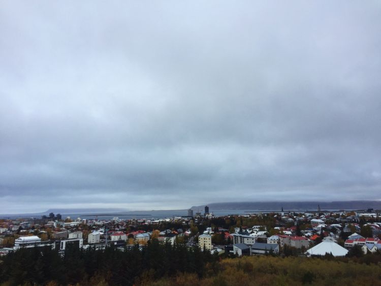 view from perlan - travel to Iceland